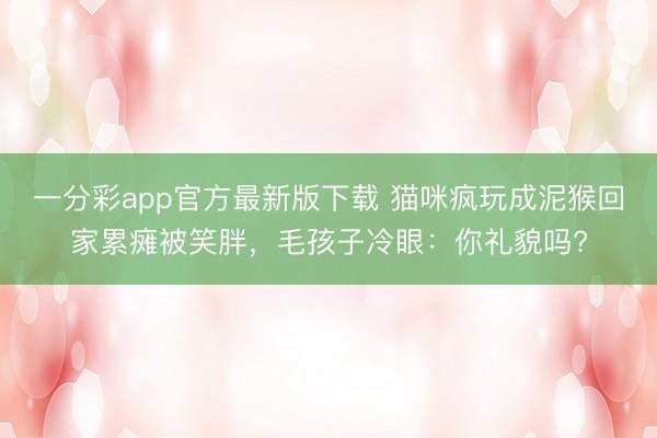 一分彩app官方最新版下载 猫咪疯玩成泥猴回家累瘫被笑胖，毛孩子冷眼：你礼貌吗?